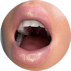 movable jaw removebg preview Perfectdoll | Your #1 shop for lovedolls & more