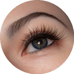 zelex eyebrow make-up Perfectdoll | Your #1 shop for lovedolls & more