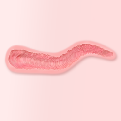 fanreal vagina struktur 02 Perfectdoll | Dein #1 Shop für Lovedolls & mehr